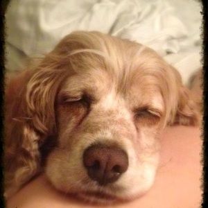 Meet your Posher, Mika